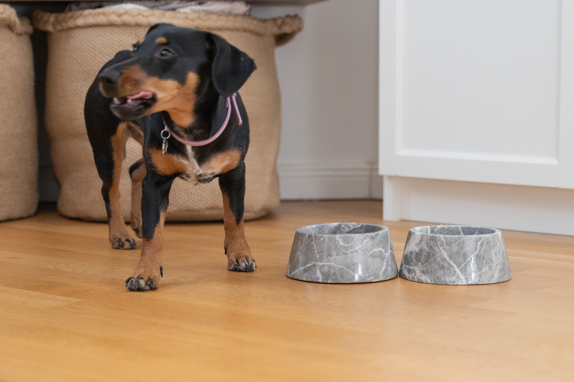 Elegantes Lifestyle-Bild des Hundenapf-Duos aus grauem Marmor von Marmonix, harmonisch platziert neben einem Hund auf einem warmen Holzboden im stilvollen Wohnbereich.